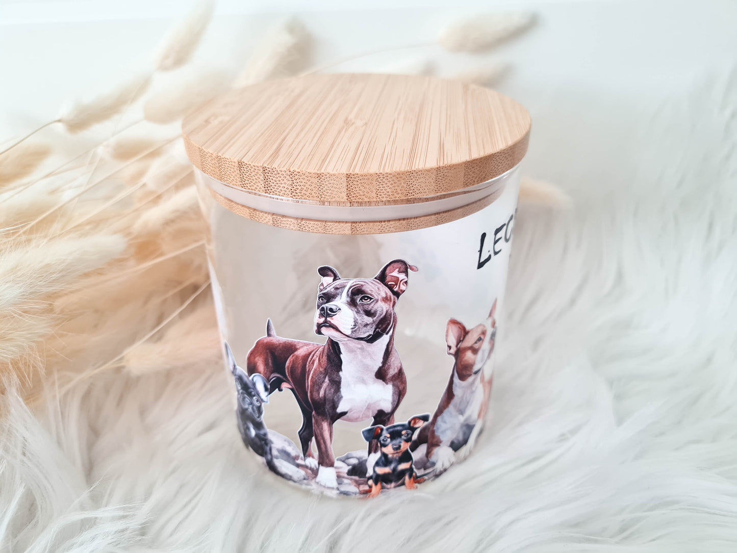 Leckerli Dose - Geschenke für Haustiere